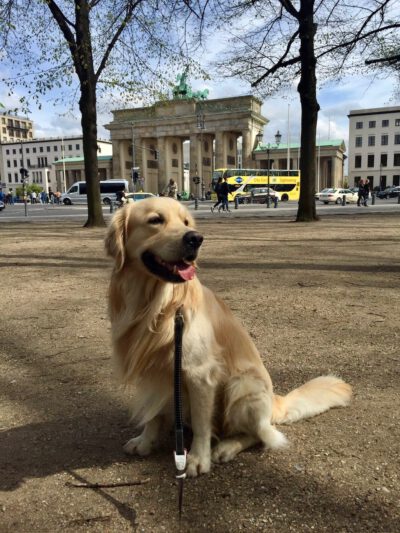 Working in Germany: Getting Started (Berlin)